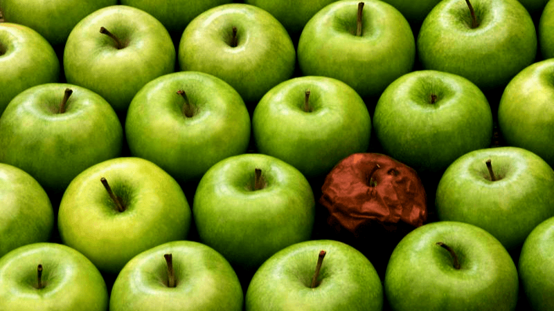 Illustration for unauthorized seller monitoring and ecommerce brand protection